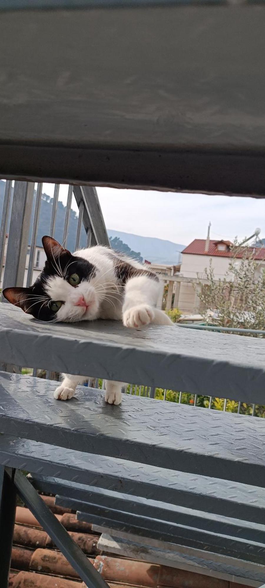Guesthouse Eva Suite Berat Exteriér fotografie